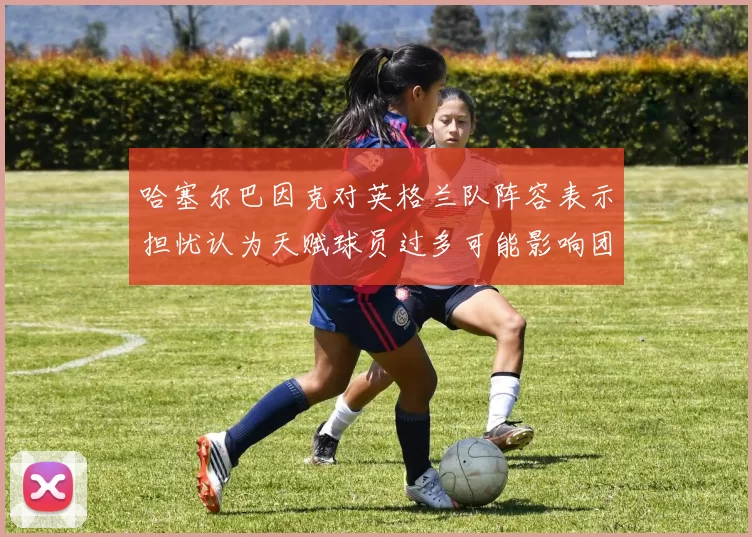 哈塞尔巴因克对英格兰队阵容表示担忧认为天赋球员过多可能影响团队合作