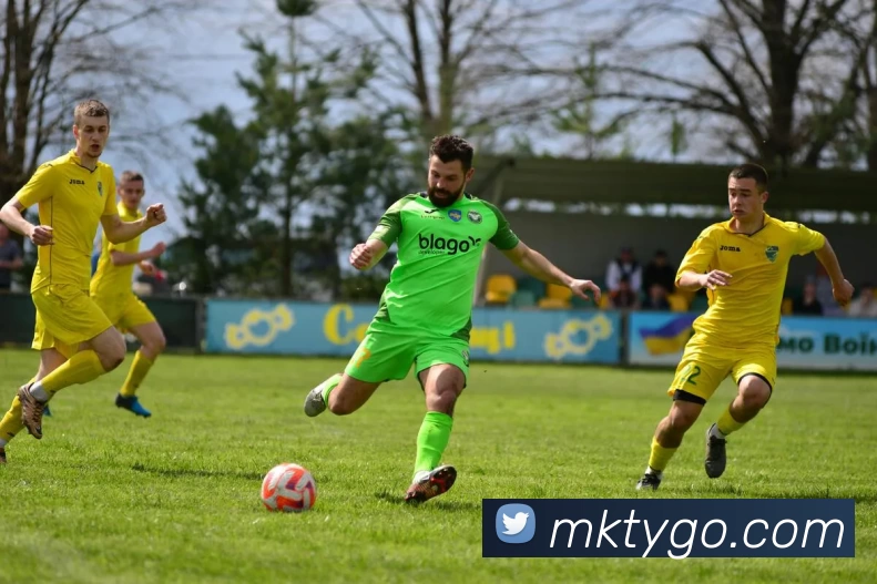 MK体育平台生态图