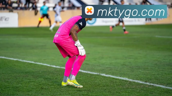 MK体育APP 封面图